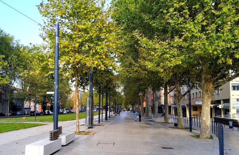 Allées Paul-Feuga : large allée dallée bordée de platanes, bancs au premier plan, passants au loin