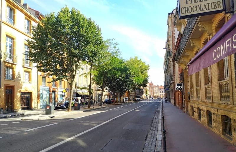 Rue du Languedoc sous un ciel bleu, platanes à gauche, façades de brique à droite